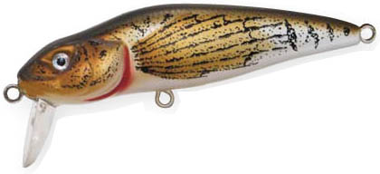 BULLHEAD 110 bullhead       