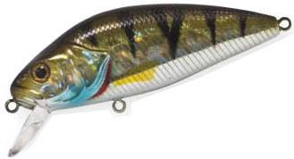 PERCH 500 holo perch ASAKURA