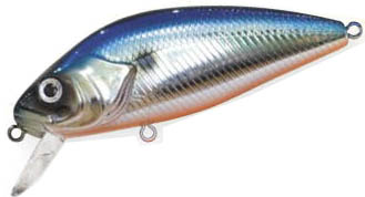 PERCH 672 blue shad ASAKURA