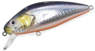 PERCH 760 holo shad       