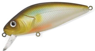   Asakura  PERCH 800 white pearl