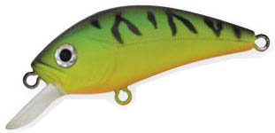 S.HORNET 070 chartreuse tiger ASAKURA