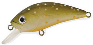   Asakura  S.HORNET 324 brook trout