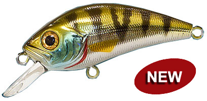   Asakura  S.HORNET 500 crystal perch