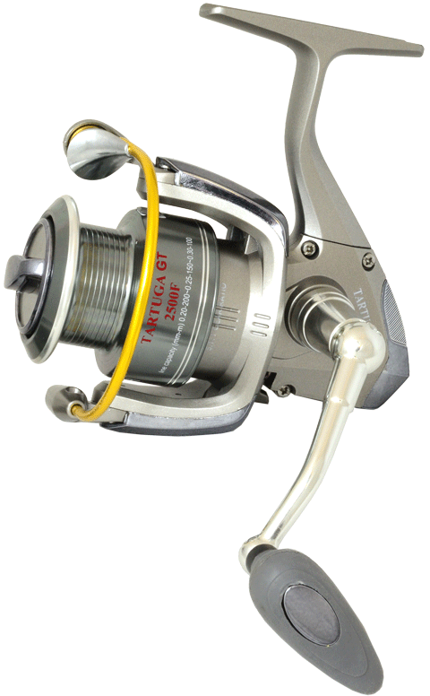 GRFISH  TARTUGA GT F       