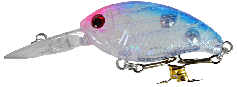 GRFISH  GRFISH  Buzzater DR       