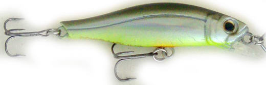  GRFISH    (Minnow) Staysee Minnow       