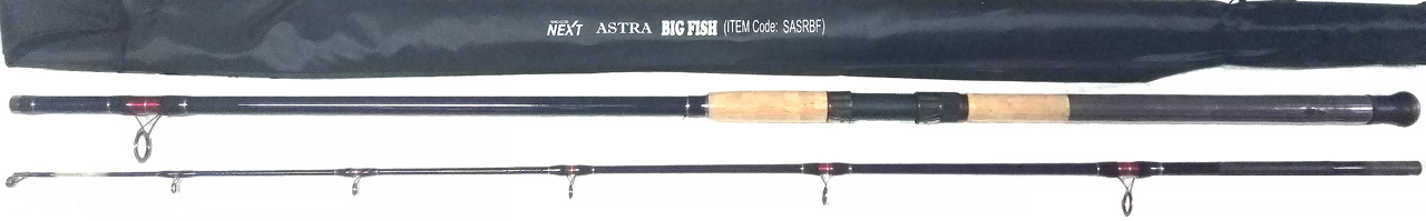  NEXT Fishing Accord ASTRA BIG FISH       