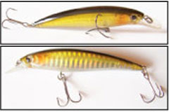   GRFISH MINNOW  * *