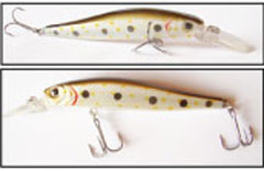   GRFISH MINNOW  * *