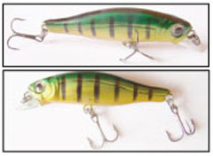   GRFISH MINNOW  * *