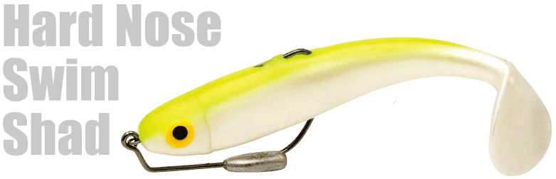   MANN`S
